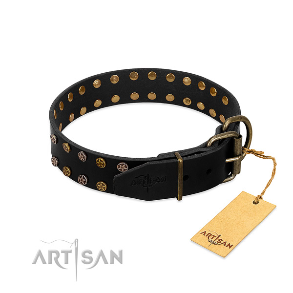 Genuine leather collar with fashionable studs for your doggie