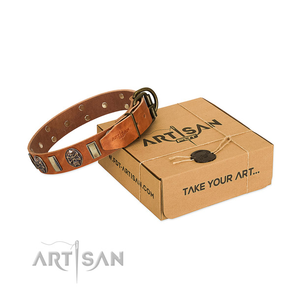 Corrosion proof D-ring on full grain genuine leather dog collar for everyday use