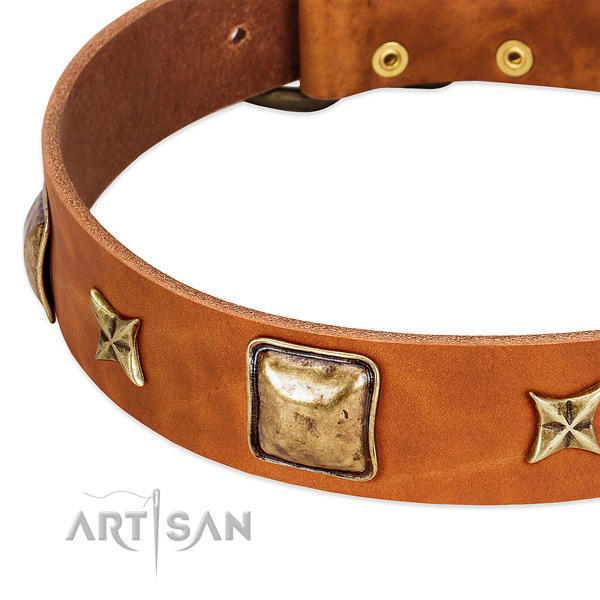 Rust-proof D-ring on natural genuine leather dog collar for your pet