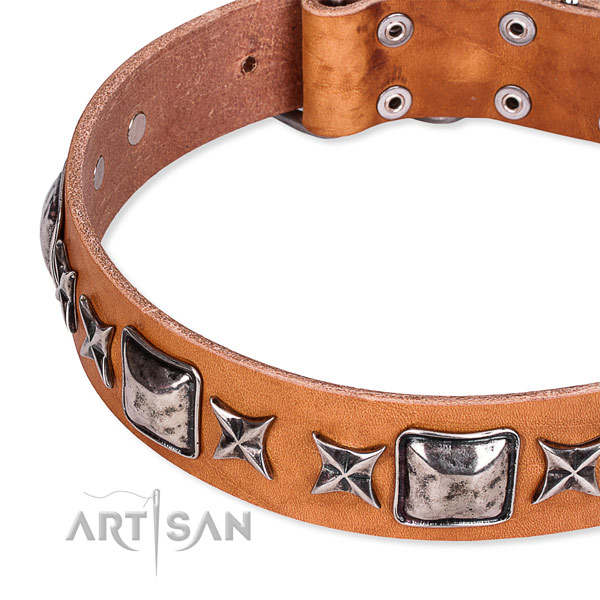 Handy use decorated dog collar of best quality full grain genuine leather