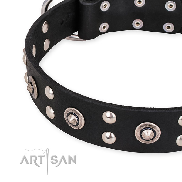 Full grain leather collar with strong hardware for your handsome four-legged friend