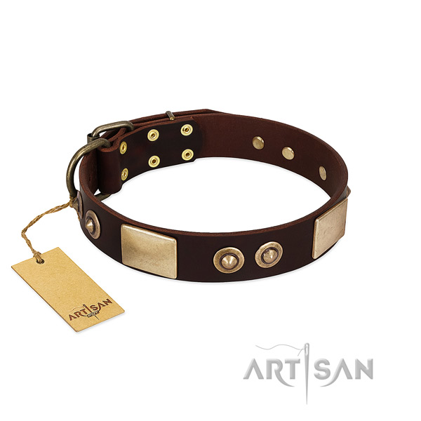 Adjustable full grain natural leather dog collar for everyday walking your canine