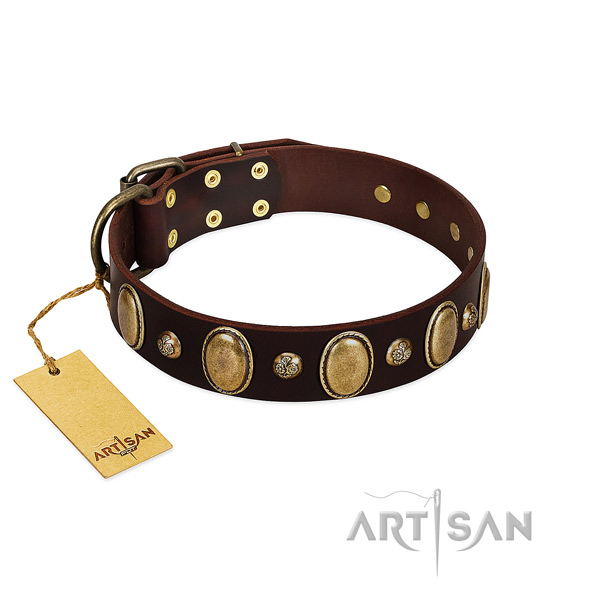 Full grain leather dog collar of best quality material with stylish design studs