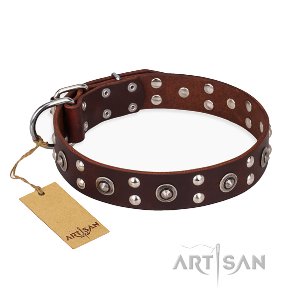 Everyday walking designer dog collar with rust-proof D-ring
