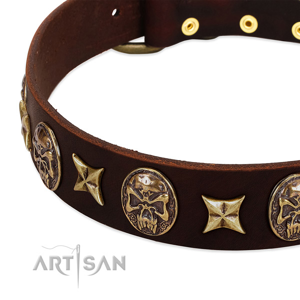 Strong buckle on genuine leather dog collar for your four-legged friend