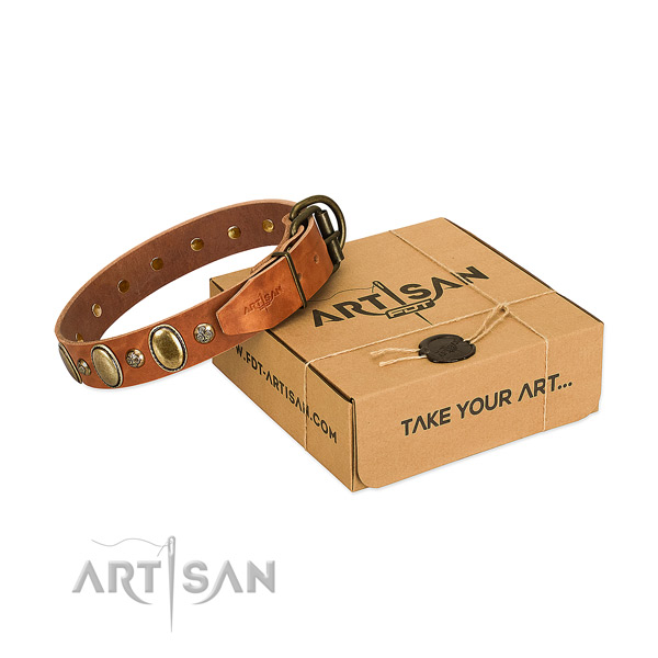Stylish full grain genuine leather dog collar with strong traditional buckle