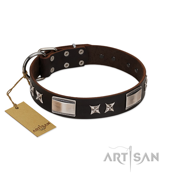 Fine quality dog collar of leather