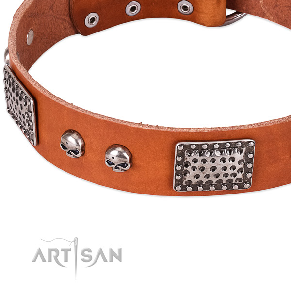 Corrosion proof D-ring on full grain genuine leather dog collar for your pet