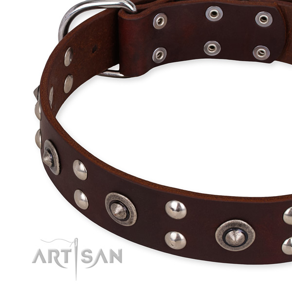 Full grain natural leather collar with strong buckle for your handsome four-legged friend