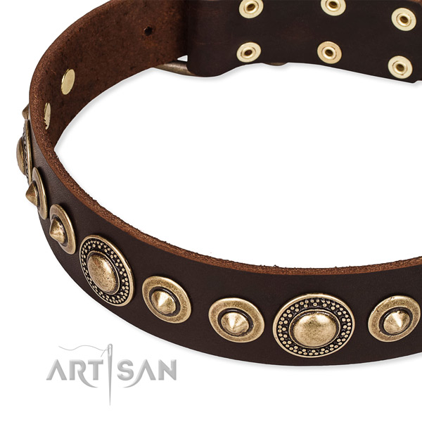 Reliable genuine leather dog collar created for your lovely dog