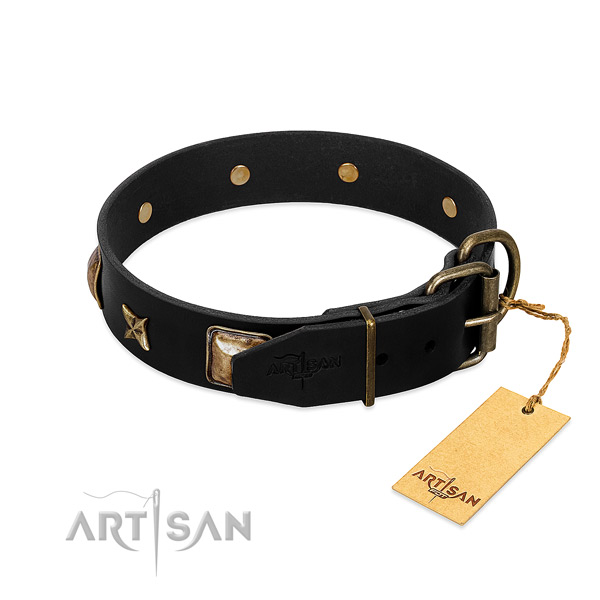 Reliable hardware on natural genuine leather collar for daily walking your four-legged friend
