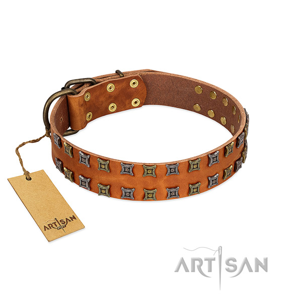 Reliable full grain natural leather dog collar with adornments for your four-legged friend