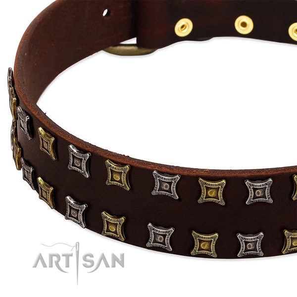 Strong leather dog collar for your impressive dog
