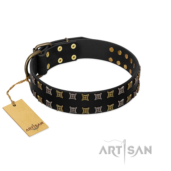 Reliable full grain leather dog collar with adornments for your pet
