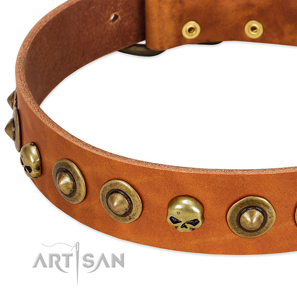 Unique embellishments on full grain leather collar for your pet