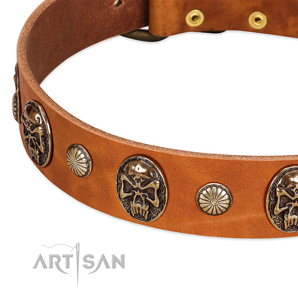 Strong adornments on natural genuine leather dog collar for your doggie