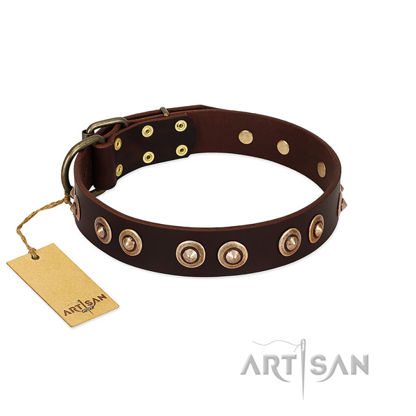Strong decorations on leather dog collar for your dog