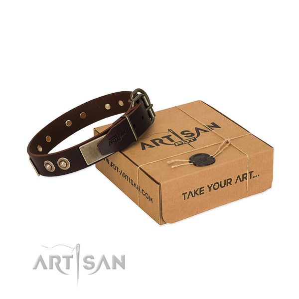 Rust resistant adornments on dog collar for walking