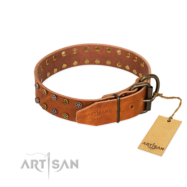 Handy use leather dog collar with awesome adornments