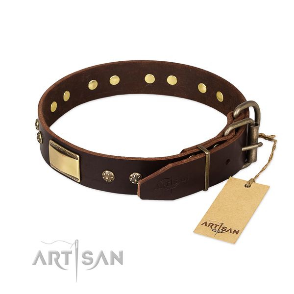 Stunning full grain natural leather collar for your four-legged friend