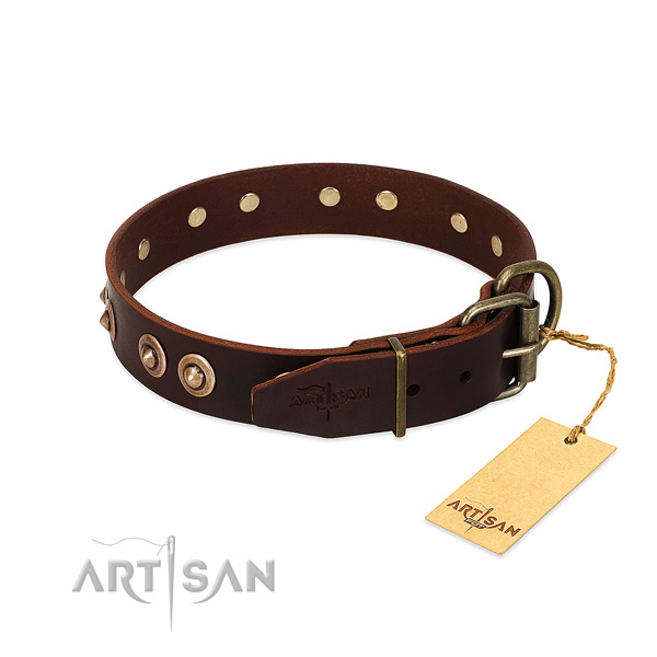 Reliable embellishments on leather dog collar for your dog