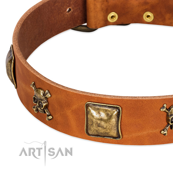Unique leather dog collar with strong adornments
