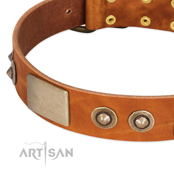 Corrosion proof traditional buckle on leather dog collar for your pet