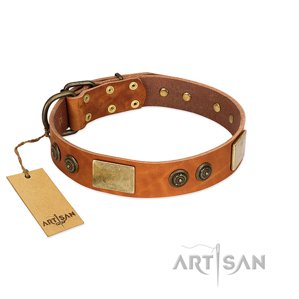 Designer genuine leather dog collar for everyday use