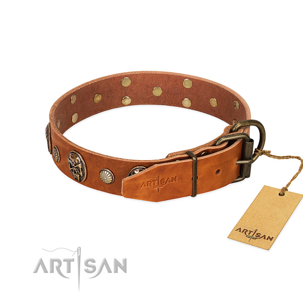 Rust resistant buckle on full grain leather collar for everyday walking your canine