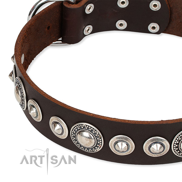 Fancy walking embellished dog collar of best quality full grain natural leather