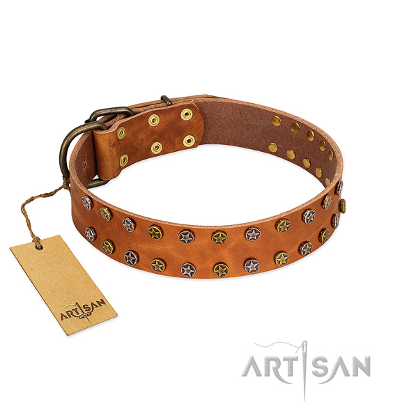 Daily walking quality full grain genuine leather dog collar with decorations