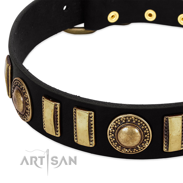 Strong leather dog collar with reliable traditional buckle