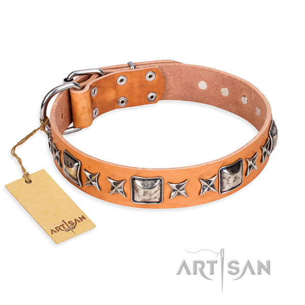 Everyday use dog collar of quality leather with studs