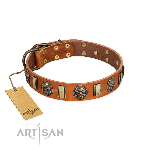 Stylish design leather dog collar for everyday walking