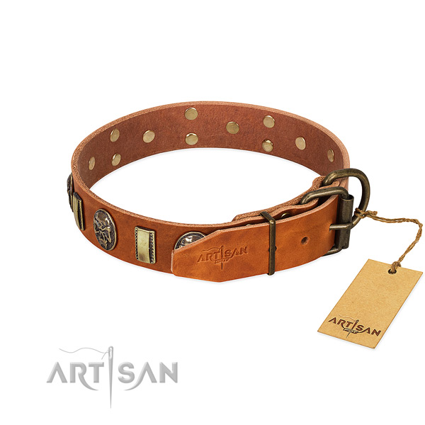 Corrosion proof D-ring on leather collar for stylish walking your pet