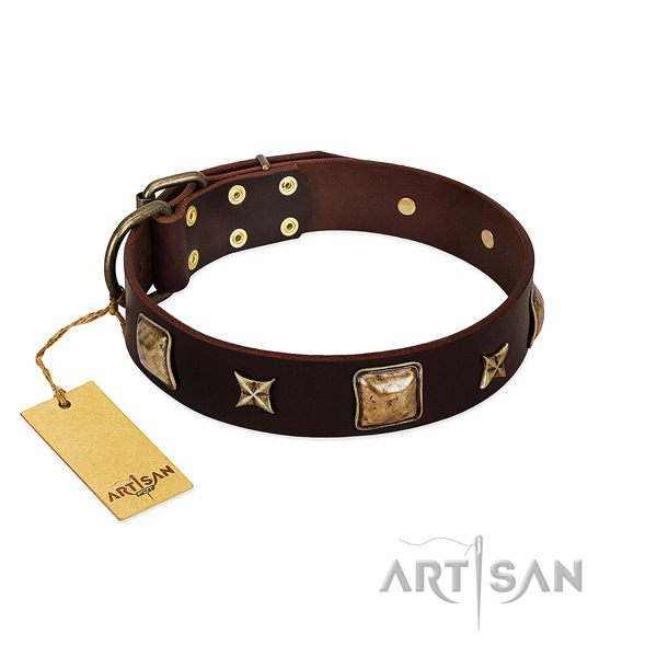 Exceptional genuine leather collar for your canine