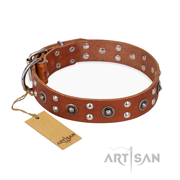 Fancy walking decorated dog collar with reliable buckle
