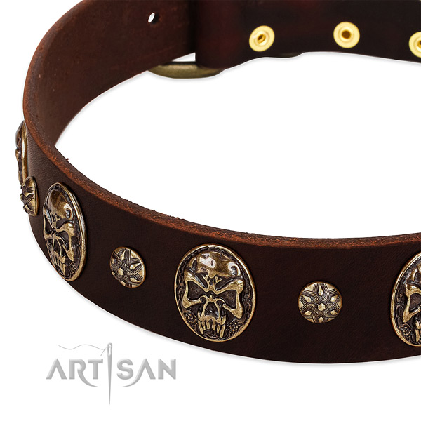 Rust resistant adornments on leather dog collar for your canine