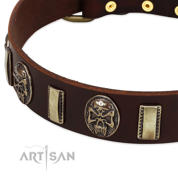 Corrosion proof D-ring on leather dog collar for your four-legged friend