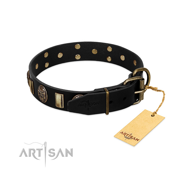 Leather dog collar with rust-proof D-ring and embellishments