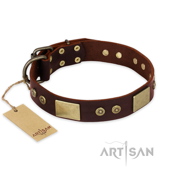 Top notch full grain genuine leather dog collar for daily walking