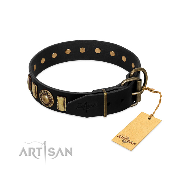 Quality genuine leather dog collar with adornments