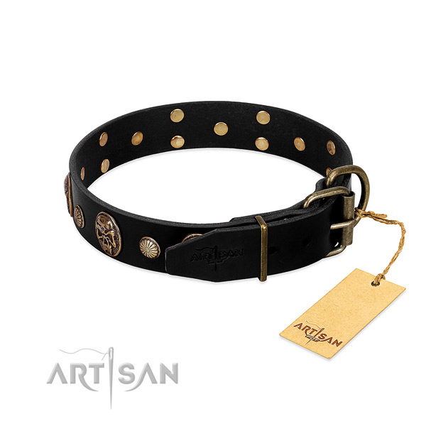 Rust-proof fittings on full grain natural leather collar for stylish walking your four-legged friend