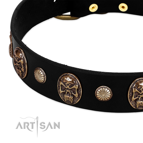 Natural leather dog collar with inimitable studs