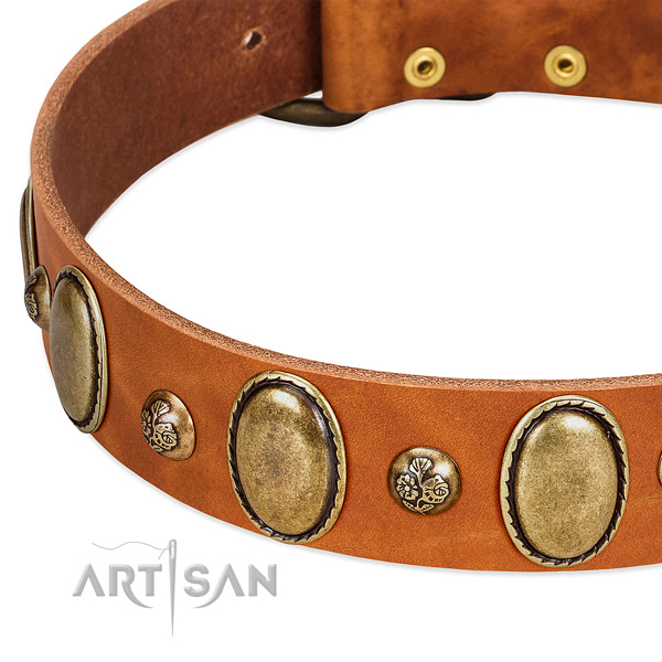 Full grain genuine leather dog collar with trendy embellishments