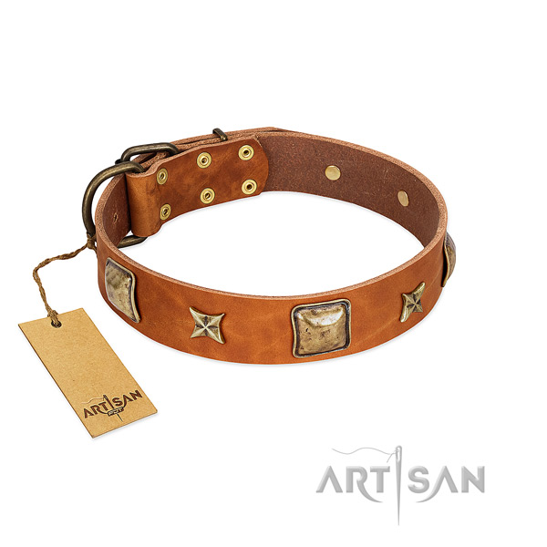 Exquisite genuine leather collar for your four-legged friend