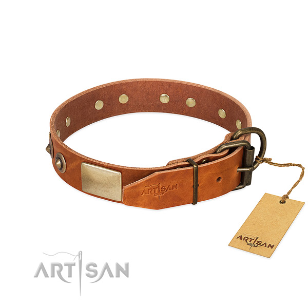 Reliable adornments on stylish walking dog collar