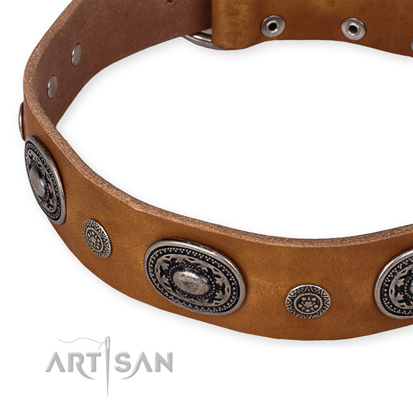 Reliable natural genuine leather dog collar crafted for your impressive canine