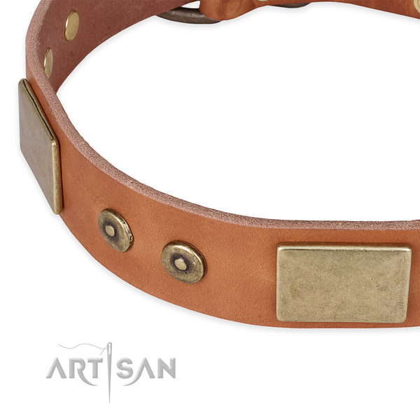 Strong embellishments on full grain genuine leather dog collar for your doggie