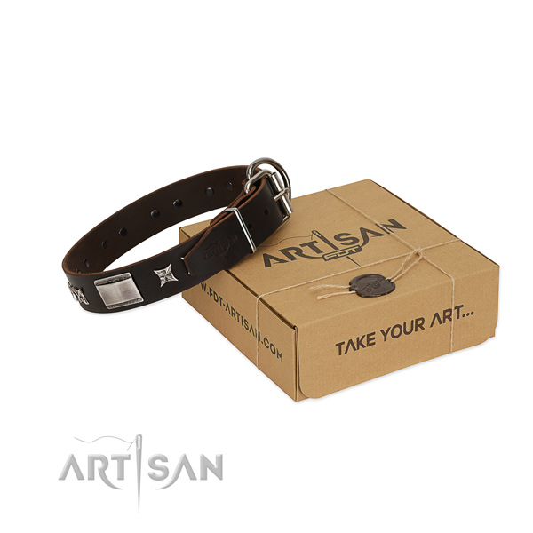 Awesome collar of full grain natural leather for your beautiful four-legged friend